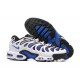 Men Sports Shoes Nike Air Max Plus Drift White Blue and Black
