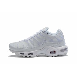 Men Sports Shoes Nike Air Max Plus Tn SE White AJ2029-100
