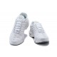 Men Sports Shoes Nike Air Max Plus Tn White