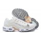 Men Sports Shoes Nike Air Max Terrascape Plus White DN4590-100